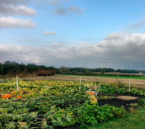 Kuipers Family Farm - Maple Park, IL