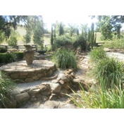 Gallery Image Number 4