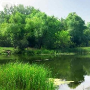Gallery Image Number 3