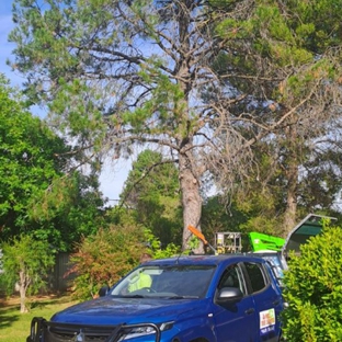 Phil's Tree Service - Cootamundra, NSW