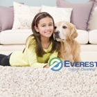 Everest Carpet Cleaning
