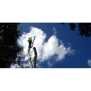 All Coast Tree Services - West Wollongong, NSW