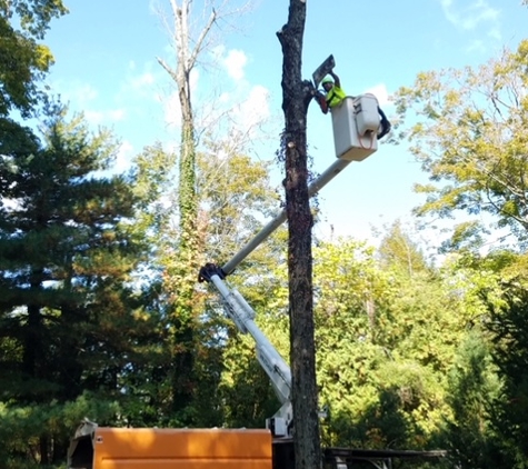 Orocio's Landscaping & Tree Services - South River, NJ