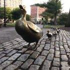 Boston Common Frog Pond