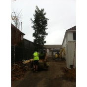 Gallery Image Number 1