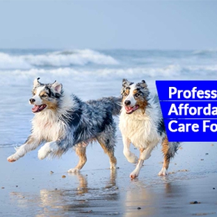 The Veterinary Hospital North - Clarkson, WA. Professional And Affordable Health Care For Your Pets