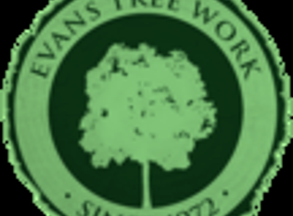 Evans  Tree Work - Ledbetter, KY