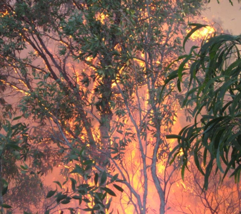 Rural Fire Brigades Association QLD Inc. - Araluen, QLD