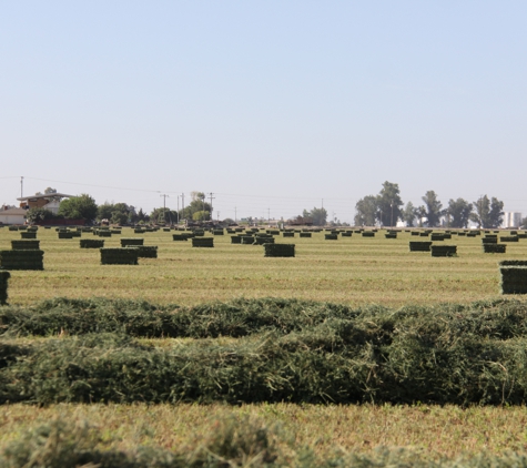 Farm Direct Hay - Lemoore, CA