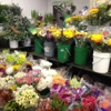 Travis Wholesale Florists gallery