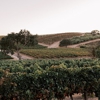Fableist Wine Co. gallery