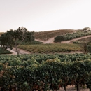 Fableist Wine Co. - Bars