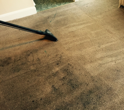 Nave's carpet, floor and upholstery cleaning - Douglassville, PA