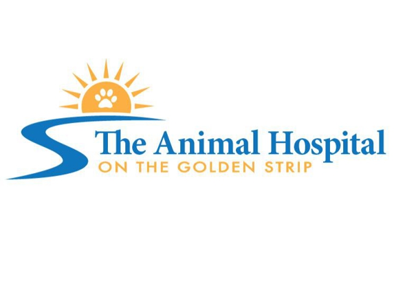 The Animal Hospital on the Golden Strip - Williamsport, PA