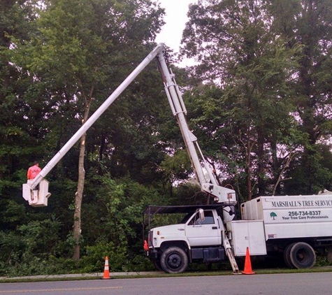 Marshall's Tree Service LLC - Hanceville, AL