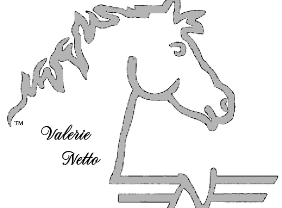 Valerie Netto Equine Assistance - Placerville, CA