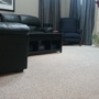 Buffers and Bonnets Carpet Cleaning