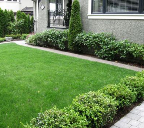 Southern Green Lawn & Shrub Care