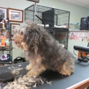 Foster Care Dog Grooming - Pet Grooming
