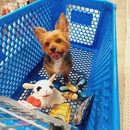 Petsense by Tractor Supply - Pet Stores