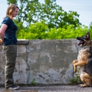 K9 Addict Dog Training - Pet Services