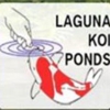 Laguna Koi Ponds gallery
