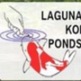 Laguna Koi Ponds
