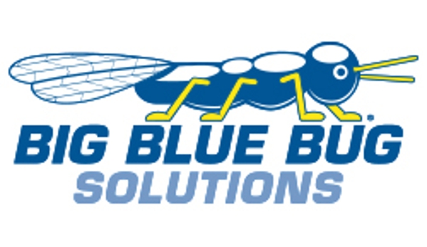 Big Blue Bug Solutions - Providence, RI