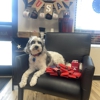 Jim Martin - State Farm Insurance Agent gallery
