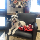 Jim Martin - State Farm Insurance Agent