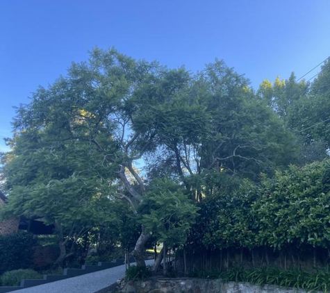 Arbor Pride Tree Services Pty Ltd - Westleigh, NSW