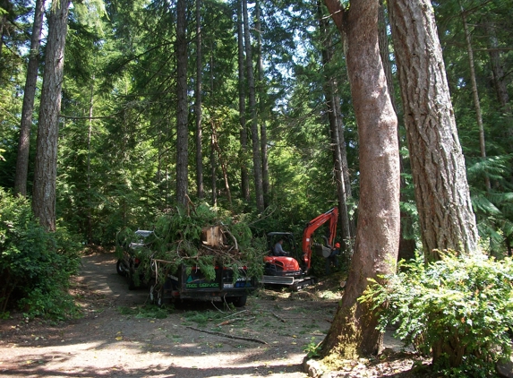 Fred Holmes Tree Service LLC - Shelton, WA