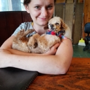 Abney's Grooming - Dog & Cat Grooming & Supplies
