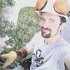 Arbor Works Tree Care gallery