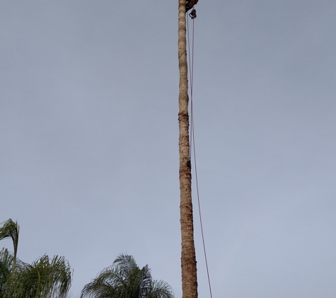 Gomez Lawn & Tree Service - Riverside, CA