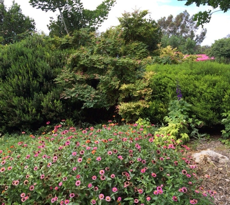 South Coast Botanic Garden - Palos Verdes Peninsula, CA