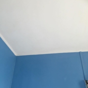 Gallery Image Number 1