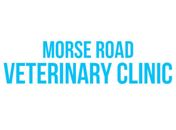 Morse Rd Veterinary Clinic - Columbus, OH