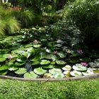 Aquarium and Pond Services