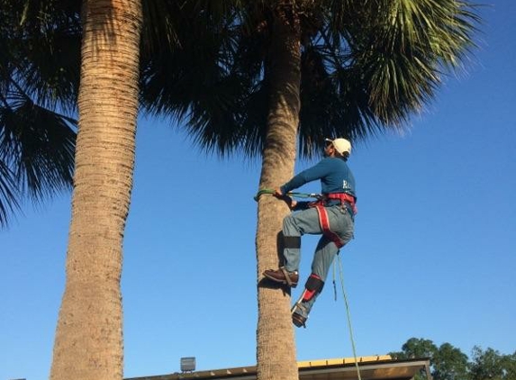 Richie Reach Tree Service Inc - Orlando, FL
