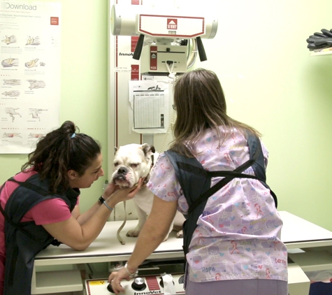 DPC Veterinary Hospital - Davie, FL