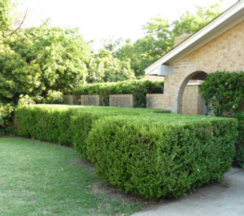 InfinityGreen LLC - Lewisville, TX