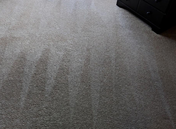 Pro Carpet and Upholstery Cleaning Service