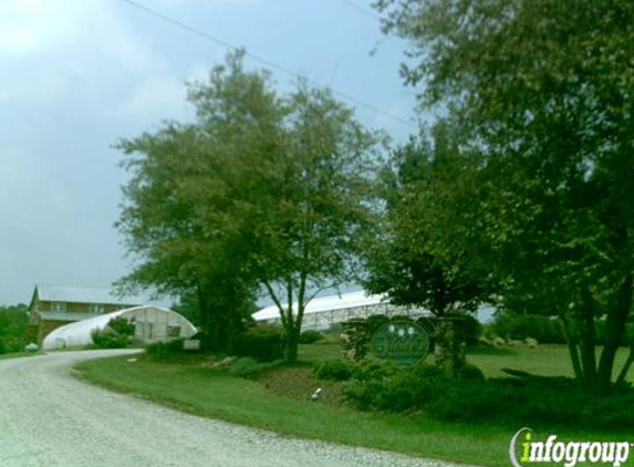 Stowe's Nursery - Gastonia, NC