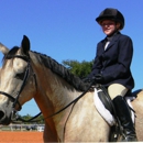 Equestrian Quest Training Park - Riding Academies