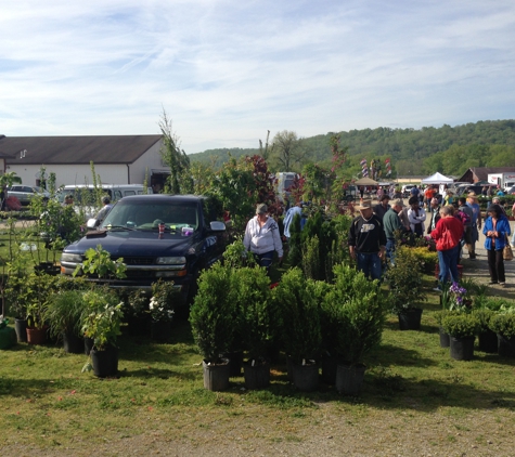 White's Farm and Flea Market - Brookville, IN