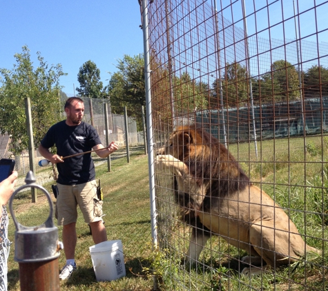 Conservators' Center - Burlington, NC