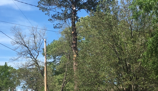 Mid State Tree Service - Pearl, MS