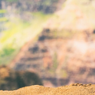Southern Podiatry - Nowra, NSW