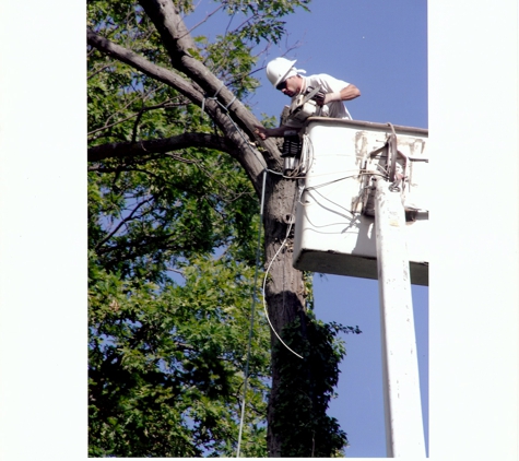 J&M Tree Service - Flint, MI